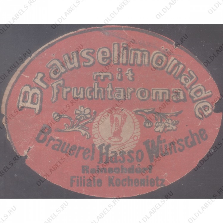 Польша Reinschdorf Brauselimonade mit Fruchtaroma Brauerei Hasso Wunsche